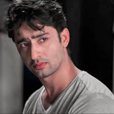 He is best known for his lead role of warrior prince arjuna in mythological show mahabharat (2013) and dev dixit in kuch rang pyar ke aise bhi (2016). Shaheer Sheikh Shaheernsheikh Instagram Photos And Videos
