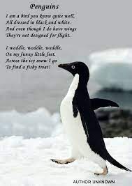 It appears that they are wearing a black and white outfit when they walk. Penguin Friendship Quotes Quotesgram