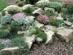 Planting A Rock Garden Plants For Rock Gardens Hgtv Gardens Rock Garden Landscaping Rock Garden Plants Rockery Garden