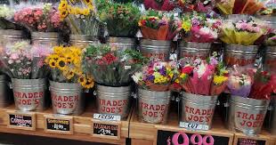 Check spelling or type a new query. All Aboard Trader Joe S Soho Ship