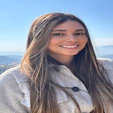 Advogado Correspondente online ()