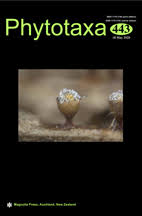 Image result for Peponium vogelii