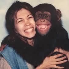 UV flashlight or blacklight for flashlights?