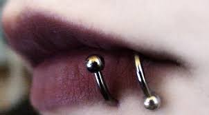 pin by alice f on piercings eyebrow jewelry upper ear piercing tragus rook