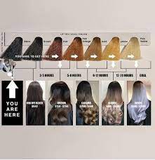 Thanks For This Hai Stylist It Helps Everyone From Pro To Consumer Black To Blonde Black To Blonde Hair Color Correction Hair