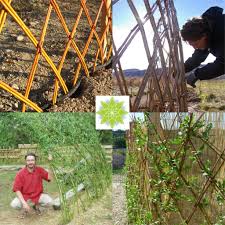 Haie en osier vivant tressé tous les saules ne conviennent pas à une utilisation comme haie vivante. Stage Haies Tressees En Osier Vivant Les Jardins Du Loup