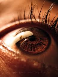 Brown is the most common eye color (though that makes them no less awesome). 20 Great Close Up Photos Of Eyes Brown Eyes Aesthetic Photos Of Eyes Eye Photography