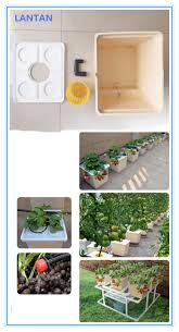 المبيعات الساخنة رخيصة الثمن المائية الهولندية دلو Bato زراعة الأواني Buy دلو الهولندية المائية أواني الزراعة المائية دلو باتو رخيصة Product On Alibaba Com