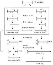 Image result for Black 1998 AAV