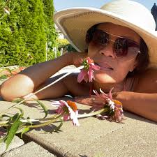 Cambodia vs Thai culture and history