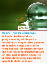 Karinca Ile Hz Ibrahim Hikayesi Askeri Bilgi Odun