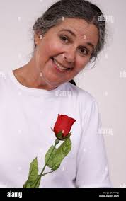 Single red rose long stem hi-res stock photography and images