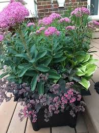 Start with a thriller — a tall plant in the middle of the container. Making Creative Fall Containers Finegardening