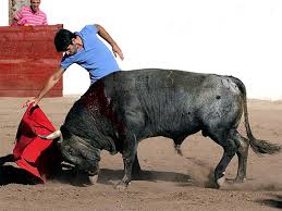 Alejandro Talavante se prepara en el campo (fotos) | Al Toro México | Medio  de comunicación taurino: Toros, Toreros, noticias y actualidad taurinas