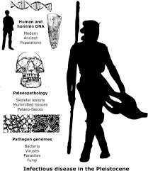 Infectious disease in the Pleistocene: Old friends or old foes? -  Houldcroft - American Journal of Biological Anthropology - Wiley Online  Library
