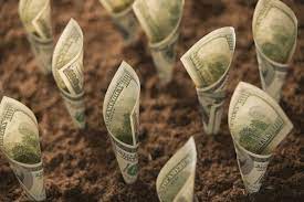 If that's your case, these ideas are for you! 10 Ways To Earn Money This Weekend My Money Us News