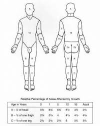 The Lund And Browder Chart This Chart Takes Into Account The