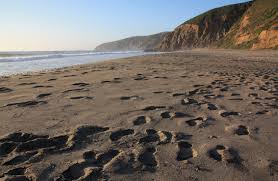Top 10 Beaches In California California Beaches