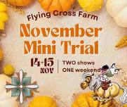 November Mini Trial I + II