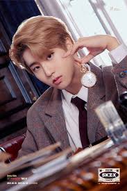 What han jisung looks like in real life: Han Stray Kids Kpop Wiki Fandom