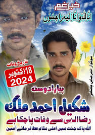 Muhammad Yousaf Malik (@muhammadyousif2146) • Instagram photos and videos