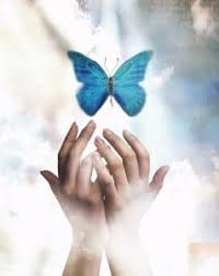 نتیجه تصویری برای موسسات خیریه