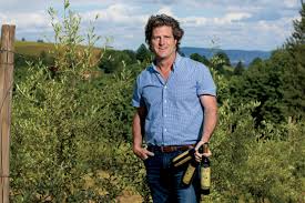 How Oregon Olive Mill Beats The Odds Producing Quality Olive Oil Farm Flavor