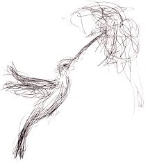 .zeichnet man ein kolibri i vögel malen i kolibri ist kleinster und schnellster vogel vogel zeichnen lernen i kolibri realistisch zeichnen einfach und schnell i malen lernen schritt für schritt i für. Kolibri Kaos Striche Kunst Drawing By Guler Aytek Lok Artmajeur
