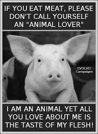 The assumption that animals are without rights, and the illusion that our treatment of them has no i'm a blogger who loves to write about pets. Callie Vegan On Twitter Vegan Animals Animal Rights Cute Pigs