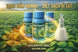 Aglasoto 30SC