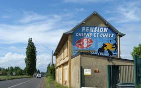 Halloy L Eleveur Importait Des Chiots Non Sevres De Slovaquie 2 Ans Avec Sursis Le Parisien