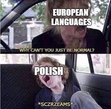 European Languages Vs Polish History Memes History Jokes Funny Cartoons