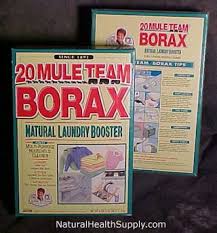 Although borax has a low toxicity fee for people and different animals, it's fatal for ants whilst they come in contact with it. How To Get Rid Of Ants Or How To Kill An Ant Invasion 8 Steps With Pictures Instructables