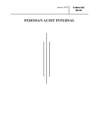 Check spelling or type a new query. Pdf Pedoman Audit Internal Puskesmas Dr Kamal Amiruddin Mars Academia Edu