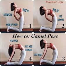Repost Jasmine Yoga With Instatoolsapp Jasmineyogatutorial Is Back We Re Start With Camelpose Or Ustrasana Yoga Information Yoga Tips Yoga Postures