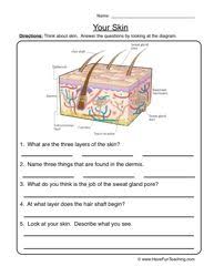 Resources Worksheets Human Body Unit Homeschool Lesson Human Body Worksheets
