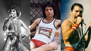 ﻿shop furniture and décor you'll love! 13 Photos Of The Incomparable Freddie Mercury Just Because