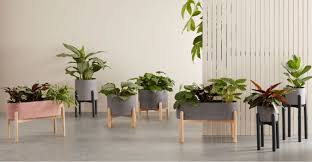 Una forma bonita de adornar.las macetas decoradas serán ese detalle que convertirá tu jardín en un sitio de esparcimiento donde los. 17 Macetas Ideales Para Decorar Cualquier Rincon De Tu Casa