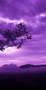  Purple Rain Fotografi Langit Pemandangan Langit