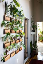 The Plant Doctor S Baltimore Home And Studio Are Absolutely Filled With Gorgeous Green Plants Easy House Plants House Plants Decor Hanging Plant Wall
