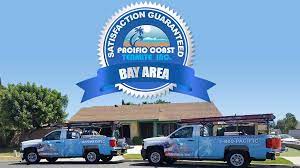 Near you 20+ termite control companies near you. Termite Company Bay Area Ca A Rating Bbb
