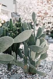 Les objets en forme de cactus envahissent nos intérieurs et ils se parent de toutes les nuances de vert et de toutes les formes. 190 Esterno Ideas Outdoor Living Outdoor Gardens Outdoor Spaces