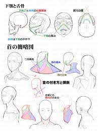 漫画素材工房 真横アングルの顔 首 肩の違和感と修正法 illustration by 漫画素材工房 pixiv イラスト 顔のスケッチ 顔