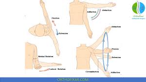 Image result for Shoulder Instability Exam