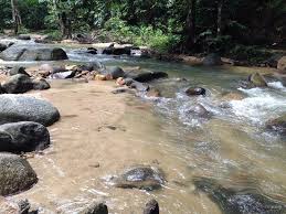 Please choose a different date. Tripadvisor Sungai Tua Recreational Forest ØµÙˆØ±Ø© Sungai Tua Recreational Forest Ø³Ù„Ø§Ù†Ø¬ÙˆØ±