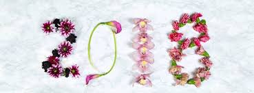 Maybe you would like to learn more about one of these? In Bloom Florist Shopping Sodo Orlando