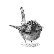 Art Birds Flying In The Sky Drawing Birds Flying In The Sky Beautiful Birds Cute Blackandwhite Inspiration Fly Art Artist Penart Pendrawing Illustrat Pen Art Birds Flying Pen Drawing