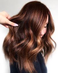 Brown hair is anything but boring! Aveda Copper Balayage Aveda Hair Aveda Hair Color