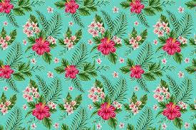Large and small floral designs from the top design st. Hd Wallpaper Teal And Pink Floral Wallpaper Flowers Tropics Plumeria Hibiscus Wallpaper Flare
