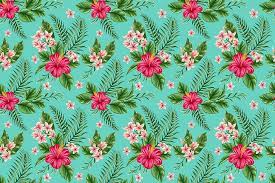 Our pink wallpapers come in every shade, from the subtle blush to the bright and sophisticated fuchsia. Hd Wallpaper Teal And Pink Floral Wallpaper Flowers Tropics Plumeria Hibiscus Wallpaper Flare